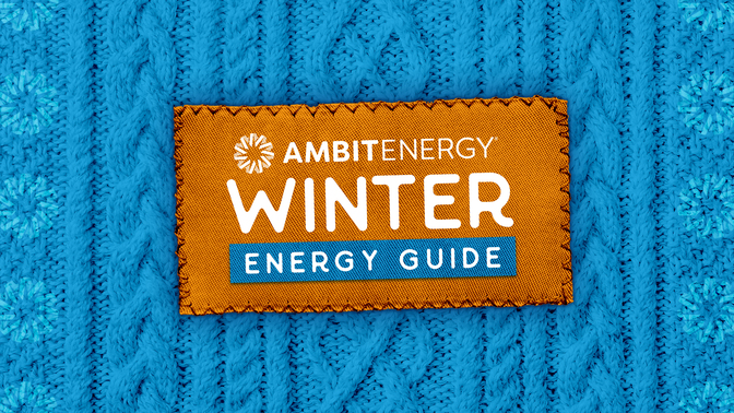Winter Energy Guide
